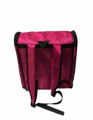 Kedi Kopek Şeffaf Sırt Çantası Pembe 42X36X25