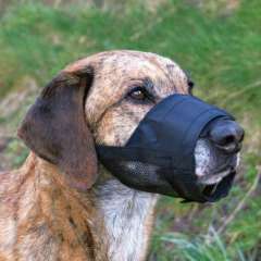 FLİPPER PET FİLELİ AĞIZLIK LARGE 18-28 CM