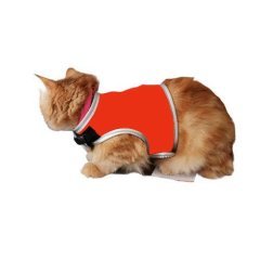 FLİPPER PET ELBİSELİ KEDİ GÖĞÜS TASMASI TURUNCU