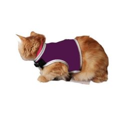 FLİPPER PET ELBİSELİ KEDİ GÖĞÜS TASMASI MOR