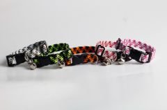 FLİPPER PET ZİLLİ ELASTİK TASMA (10'LU SET)