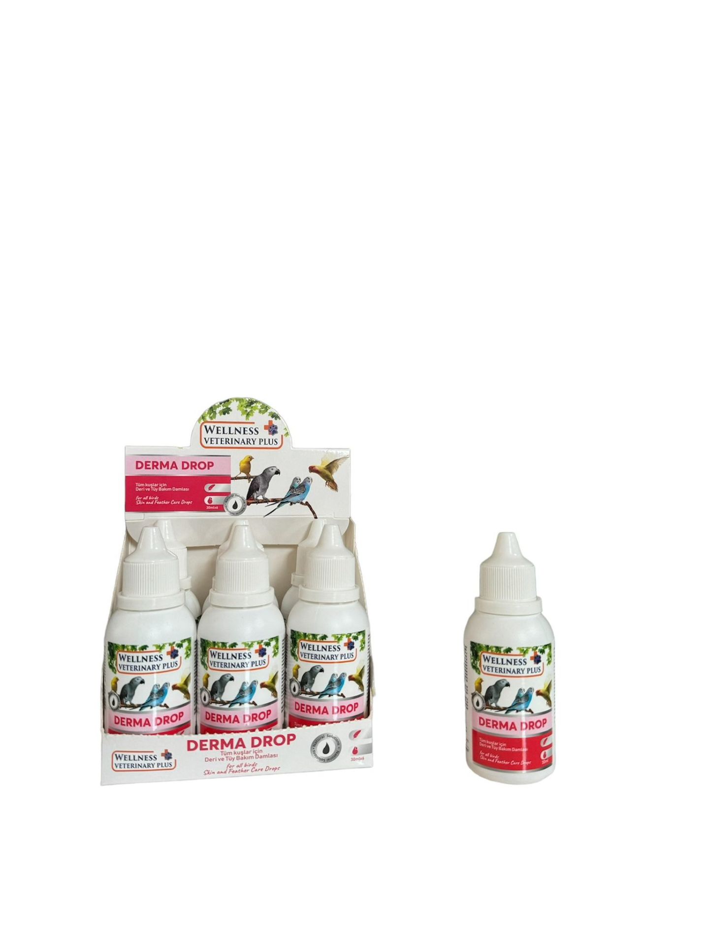 WELLNESS VETERİNARY PLUS 6'Lı Derma Drop 30ml (Deri & Tüy Bakım Solüsyonu)